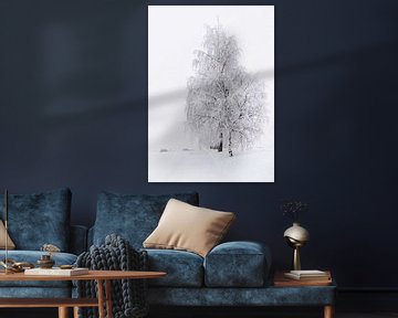 Verschneiter Baum in Norwegen von Adelheid Smitt