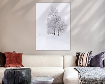 Bomen in de sneeuw in Noorwegen van Adelheid Smitt