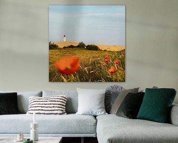 Le phare de Rubjerg Knude derrière les coquelicots sur Andrea Gaitanides - Fotografie mit Leidenschaft