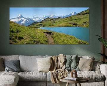 Uitzicht op de Berner Alpen vanaf de Bachalpsee, Zwitserland van SusaZoom