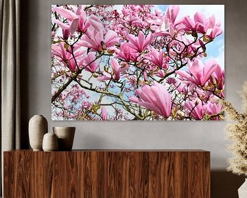 Magnolia in bloom by StudioMaria.nl