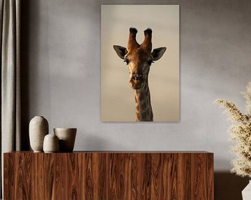 Goude Giraffe Portret van Claire Bateman