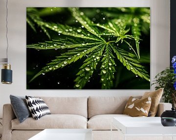 Close-up van een gloeiend cannabisblad met ochtenddauw, verlicht door zonlicht van Animaflora PicsStock