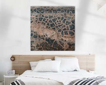 Animal print surfaces Abstract Artwork by Walls by Wendy