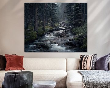 Mystical forest trail