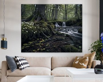 Between moss and myths