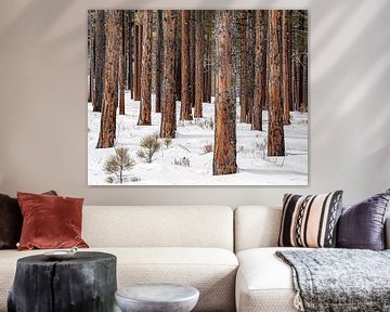 Bos in winterslaap van fernlichtsicht