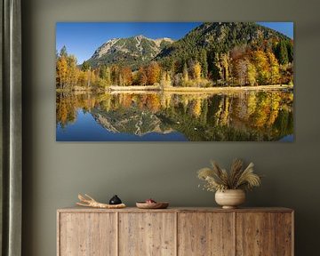 Waterreflectie in een heidevijver, herfst, bij Oberstdorf, Allgäu van Walter G. Allgöwer