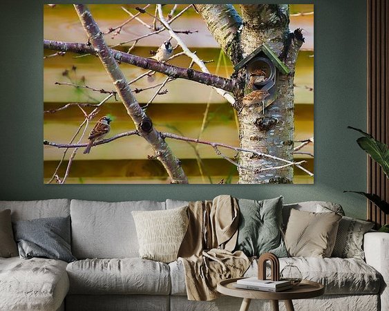 Aperçu de la chambre