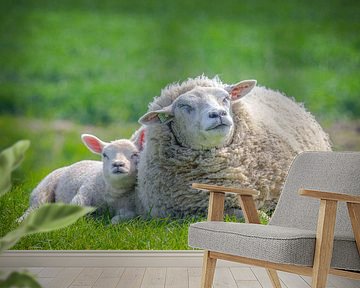 Lente, schapen in de wei! Moeder schaap met lammetje. van Michèle Huge