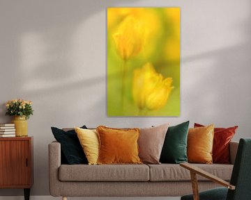 Gele tulpen kunst van Andy Luberti