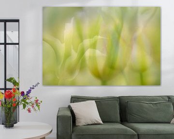 Wit en groene tulpen kunst van Andy Luberti