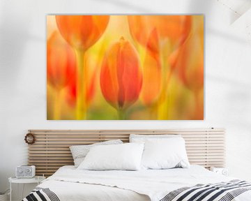 Tulpen reflecties van Andy Luberti