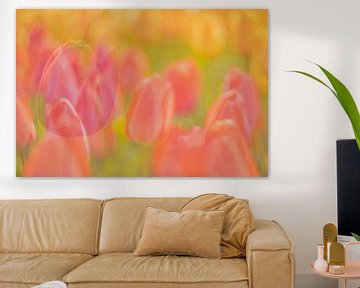 Peinture avec des tulipes colorées sur Andy Luberti