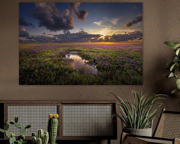 Mirroring and flowering sea lavender