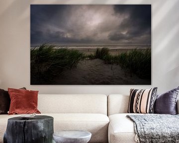 Hollandse meersters landschap van Andy Luberti