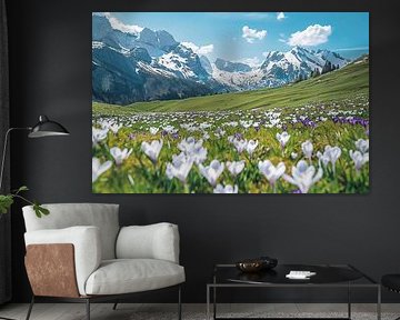 Blossoming splendour of the mountains