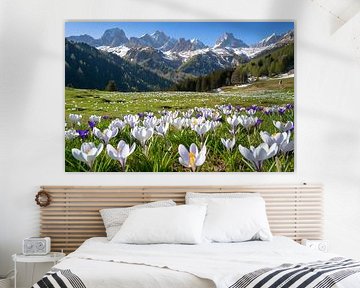 Paradis de la randonnée dans les Alpes estivales