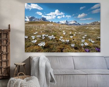 L'été alpin, une nature intacte