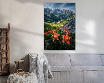 Prairies de fleurs sauvages sous les sommets alpins