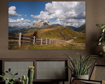Seiser Alm, Dolomiten, Südtirol, Italien von Alexander Ludwig