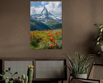 Des sommets majestueux en robe d'été