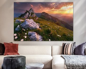 Des prairies en fleurs sous les sommets des montagnes