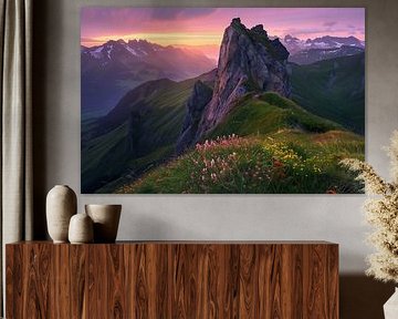 L'été à la montagne : la nature à l'état pur