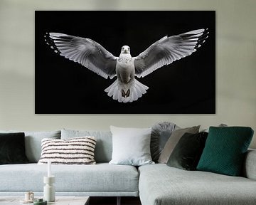 Zeemeeuw gespreide vleugels portret panorama van TheXclusive Art