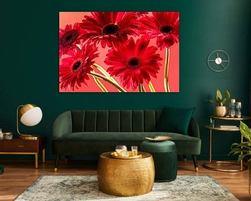 Rote Gerbera's von SO fotografie