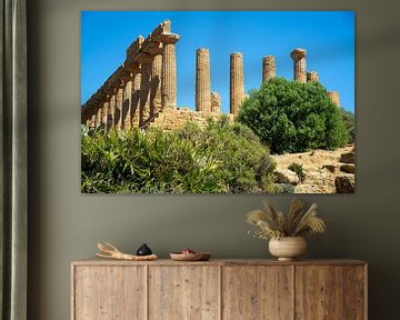 Juno Temple, Valley of Temples, Sicily by Jan Fritz