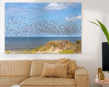 Une nuée d'oiseaux au-dessus de la mer du Nord sur Yanuschka Fotografie | Noordwijk