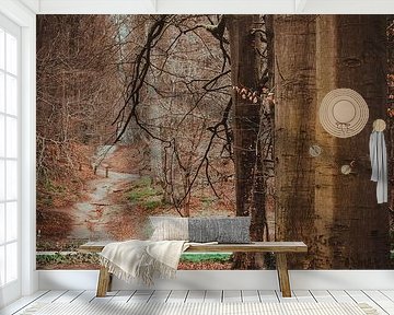 De weg door het bos van het Zoniënwoud van Robby's fotografie