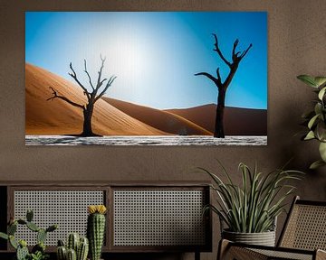 Deadvlei's dead trees by Freek van den Bergh