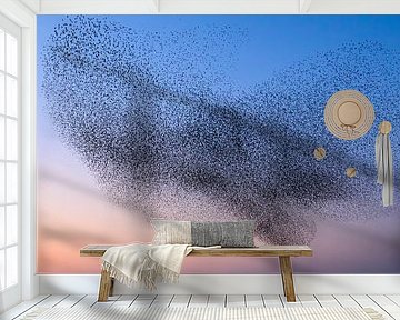 Starling birds during sunset at the end of the day van Sjoerd van der Wal Fotografie