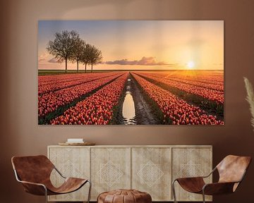 Tulpen in de Johannes Kerkhovenpolder in de provincie Groningen van Marga Vroom