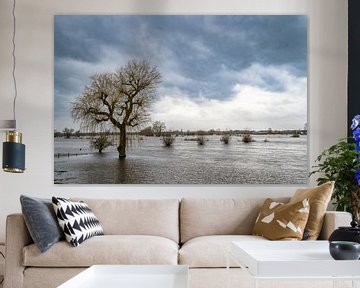 Inondations de l'IJssel avec des niveaux d'eau élevés dans les plaines inondables sur Sjoerd van der Wal Photographie