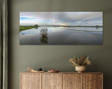 Hochwasser der IJssel mit hohen Wasserständen in den Überschwemmungsgebieten