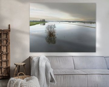 Hochwasser der IJssel mit hohen Wasserständen in den Überschwemmungsgebieten von Sjoerd van der Wal Fotografie