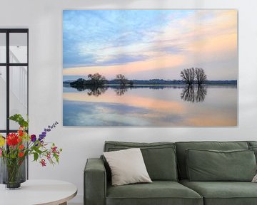 Hochwasser der IJssel mit hohen Wasserständen in den Überschwemmungsgebieten von Sjoerd van der Wal Fotografie