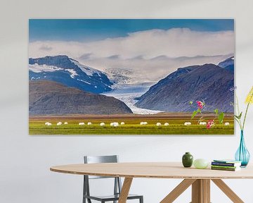 Le paysage près de Hofn en Islande sur Henk Meijer Photography