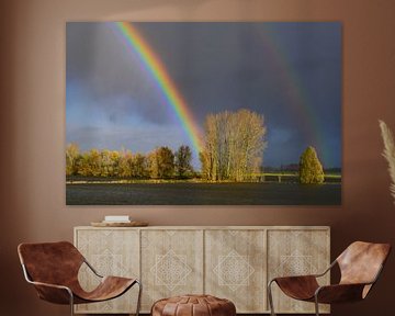 Rainbow over the river IJssel by Sjoerd van der Wal Photography