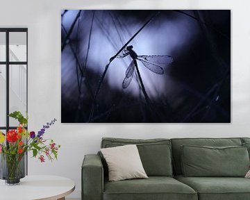 Silhouette of a damselfly by Nienke Castelijns