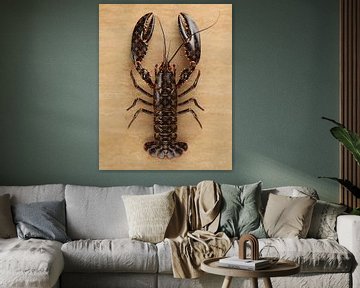 Designer lobster van Rene Ladenius Digital Art