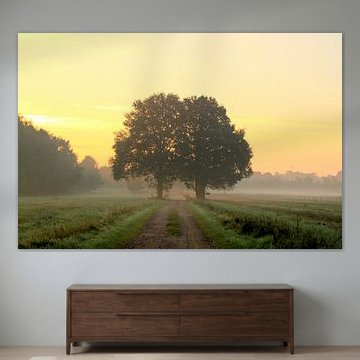 Zwei Eichen von Marcel van Rijn