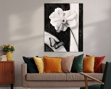 Royal Anamone flower still life by Fine Art Flower - Artist Sander van Laar