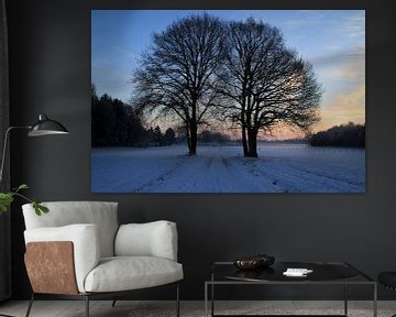 Winter by Marcel van Rijn