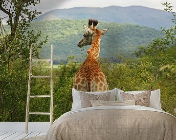 southafrica ... waiting for you by Meleah Fotografie