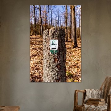 Eine wunderschöne frühlingshafte Wanderung durch den wunderschöne Heldburger Land im Landkreis Hildburghausen - Thüringen - Deutschland