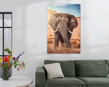 Namibia Desert Elephant Patriarch Damaraland by Jean Claude Castor